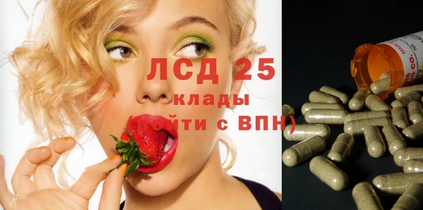 амф Алзамай