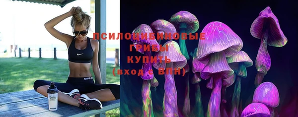 герыч Алексеевка