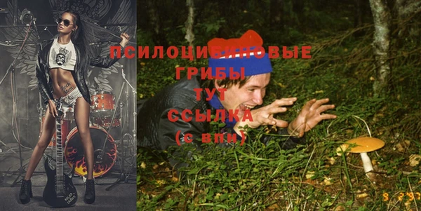 МДПВ Алексин