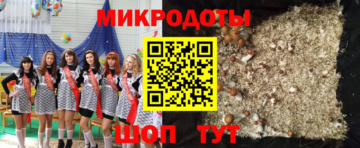 Псилоцибиновые грибы MAGIC MUSHROOMS Курчалой